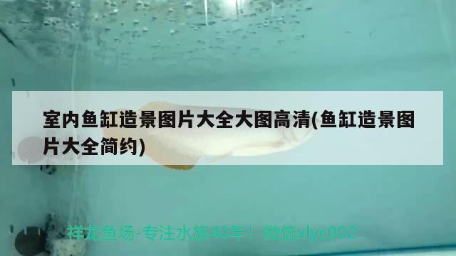 請問這是鸚鵡魚起頭的跡象嗎？ 鸚鵡魚 第3張