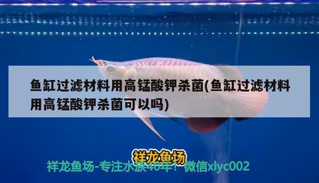 魚缸過濾材料用高錳酸鉀殺菌(魚缸過濾材料用高錳酸鉀殺菌可以嗎) 大正錦鯉魚