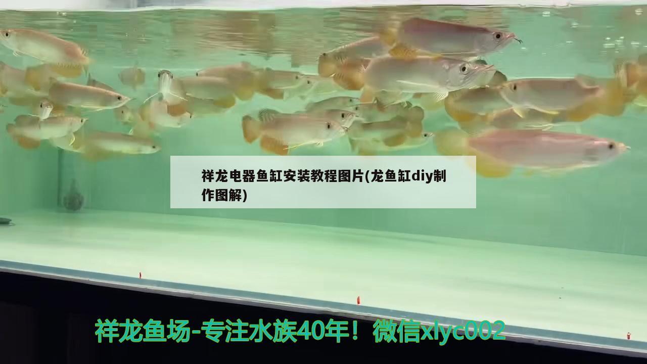 為什么眾神最近無法上傳圖片？