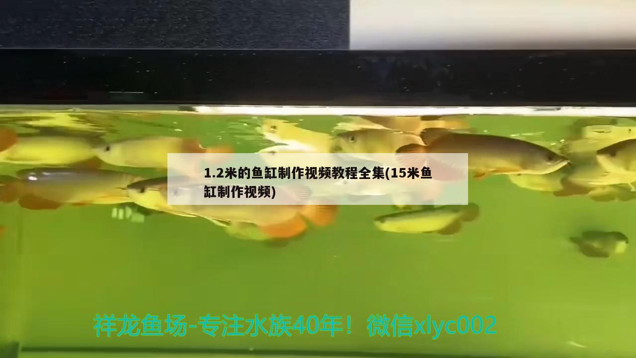 1.2米的魚缸制作視頻教程全集(15米魚缸制作視頻) 水草