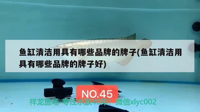 魚缸清潔用具有哪些品牌的牌子(魚缸清潔用具有哪些品牌的牌子好)