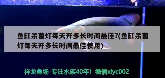 魚缸殺菌燈每天開多長時間最佳?(魚缸殺菌燈每天開多長時間最佳使用) 魟魚百科 第2張