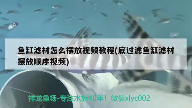 魚缸濾材怎么擺放視頻教程(底過濾魚缸濾材擺放順序視頻)