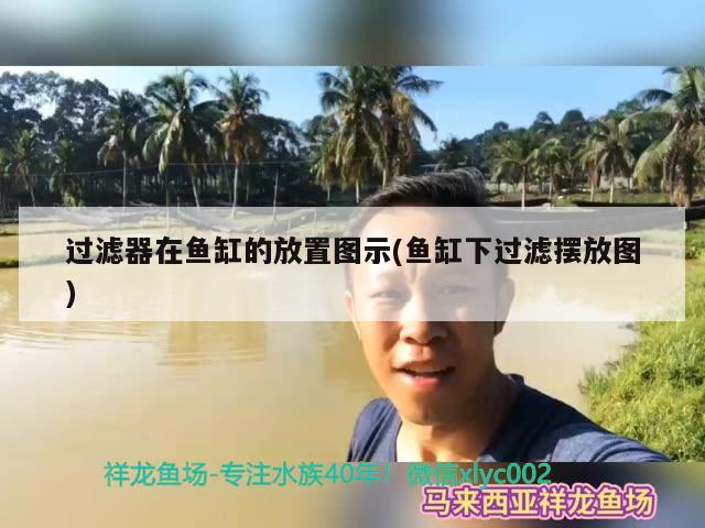 過濾器在魚缸的放置圖示(魚缸下過濾擺放圖) 銀龍魚苗