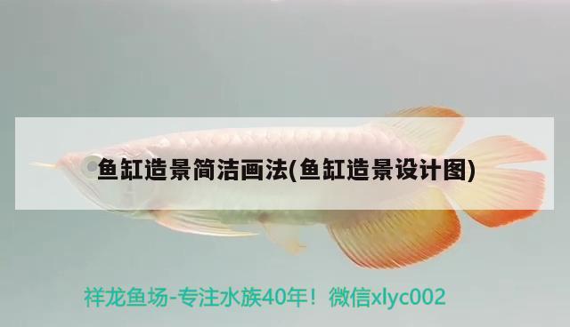 金龍魚要用多大的魚缸養(yǎng)比較好（金龍魚適合多大的缸） 祥龍魚藥系列