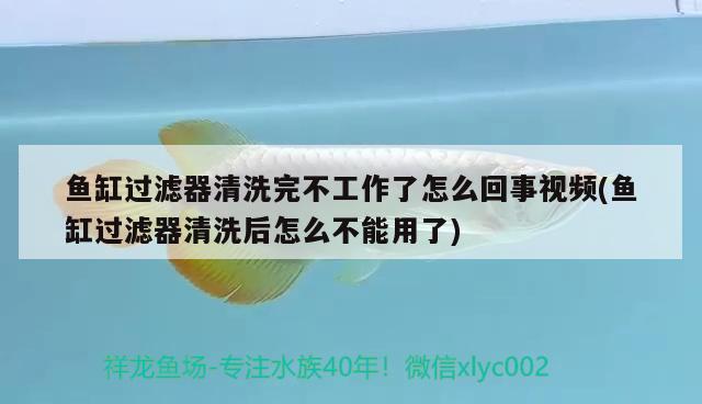 魚缸過濾器清洗完不工作了怎么回事視頻(魚缸過濾器清洗后怎么不能用了) 銀龍魚