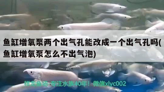 魚缸增氧泵兩個出氣孔能改成一個出氣孔嗎(魚缸增氧泵怎么不出氣泡)