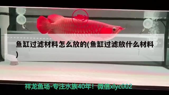 魚缸過濾材料怎么放的(魚缸過濾放什么材料) 潛水泵 第2張