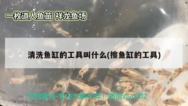 1米8長60厘米寬魚缸多重?。ㄩL1米寬60分米高80分米的魚缸有多少斤）