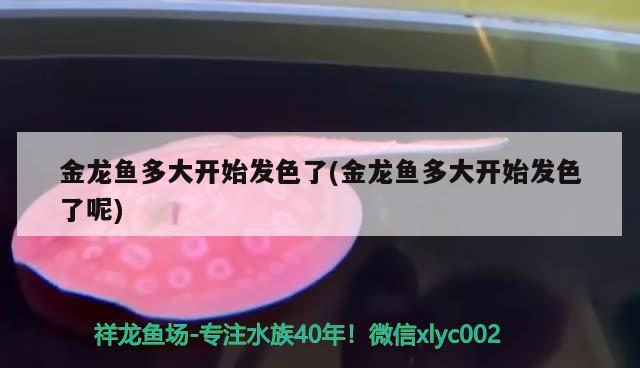 別人家拿的二手200w的太陽能板想帶一個(gè)100w的抽水泵魚缸用的可以不用電池直接用嗎？