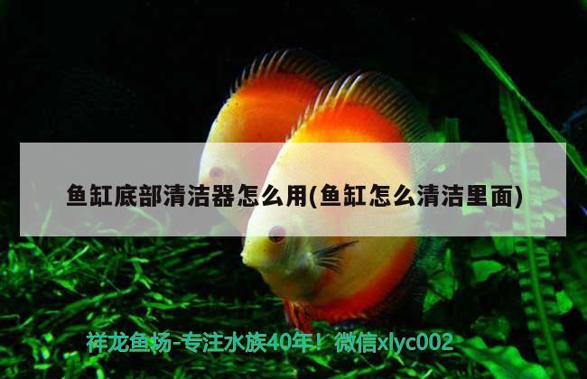 魚白毛病了還可以開魚缸燈嗎(魚缸開燈發(fā)白)