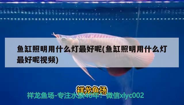 淄博魚缸清理公司電話地址：淄博魚缸清理公司電話地址是多少