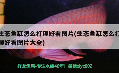 魚缸里用什么鹽消毒最好 魚缸里用什么鹽消毒最好呢 福滿鉆魚 第2張