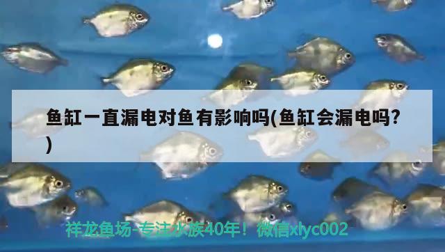 魚缸一直漏電對魚有影響嗎(魚缸會漏電嗎?) 斑馬鴨嘴魚苗