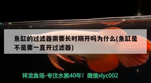 麗水魚(yú)缸定做店電話地址（2019年快結(jié)束了，大家去過(guò)哪些地方） 文玩 第2張