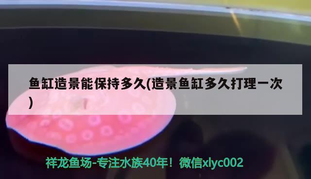 魚缸里用什么鹽消毒最好 魚缸里用什么鹽消毒最好呢 福滿鉆魚 第1張