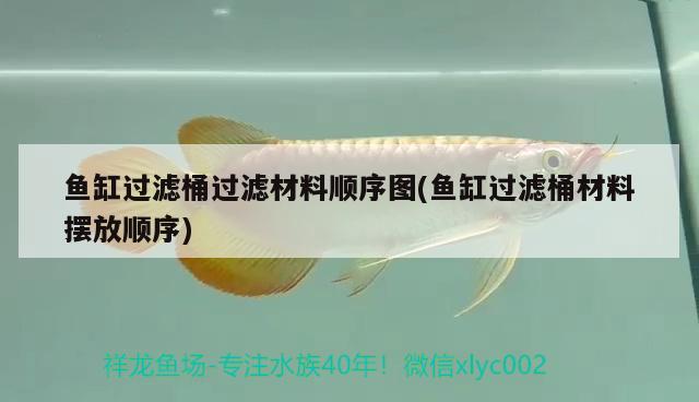 魚(yú)缸過(guò)濾桶過(guò)濾材料順序圖(魚(yú)缸過(guò)濾桶材料擺放順序) 觀賞魚(yú)市場(chǎng)（混養(yǎng)魚(yú)）