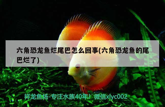 鄂爾多斯水族批發(fā)市場在哪里啊電話，我國一共有多少個省