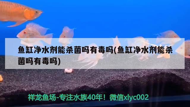 魚缸凈水劑能殺菌嗎有毒嗎(魚缸凈水劑能殺菌嗎有毒嗎) 飛鳳魚苗