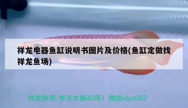 祥龍電器魚缸說明書圖片及價格(魚缸定做找祥龍魚場) 祥龍魚場 第2張