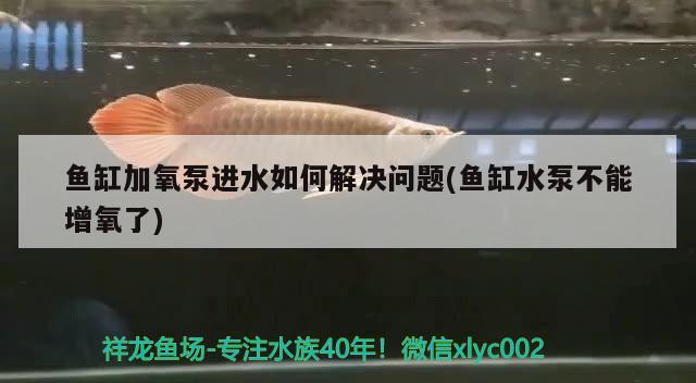 魚缸加氧泵進水如何解決問題(魚缸水泵不能增氧了) 魚缸水泵