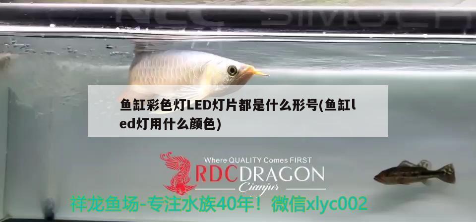 魚缸彩色燈LED燈片都是什么形號(hào)(魚缸led燈用什么顏色)