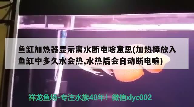 魚缸加熱器顯示離水?dāng)嚯娚兑馑?加熱棒放入魚缸中多久水會(huì)熱,水熱后會(huì)自動(dòng)斷電嘛)