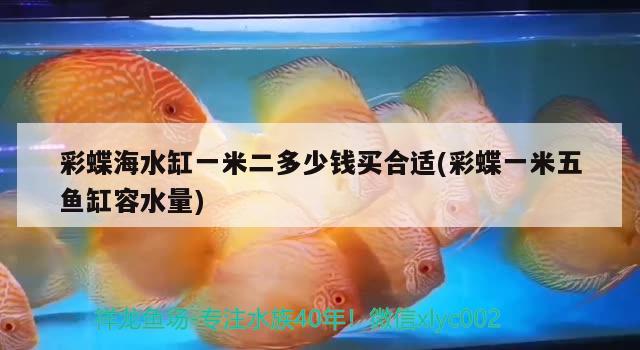 保定觀賞魚市場(chǎng)愿春暖花開(kāi)時(shí)國(guó)泰民安