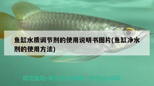 魚(yú)缸水質(zhì)調(diào)節(jié)劑的使用說(shuō)明書(shū)圖片(魚(yú)缸凈水劑的使用方法)