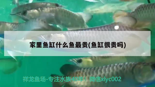 介紹幾個好玩的射擊類游戲，許嵩的小宇宙是什么意思