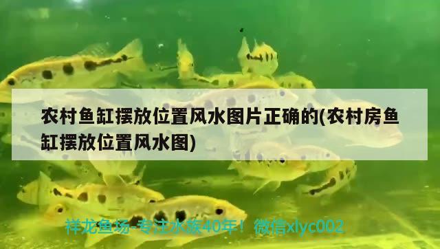 農(nóng)村魚缸擺放位置風水圖片正確的(農(nóng)村房魚缸擺放位置風水圖) 魚缸風水 第3張