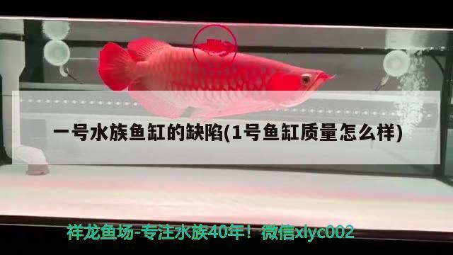 花豹燈魚怎么樣養(yǎng)（花豹燈魚怎么樣養(yǎng)殖） 水族燈（魚缸燈） 第3張