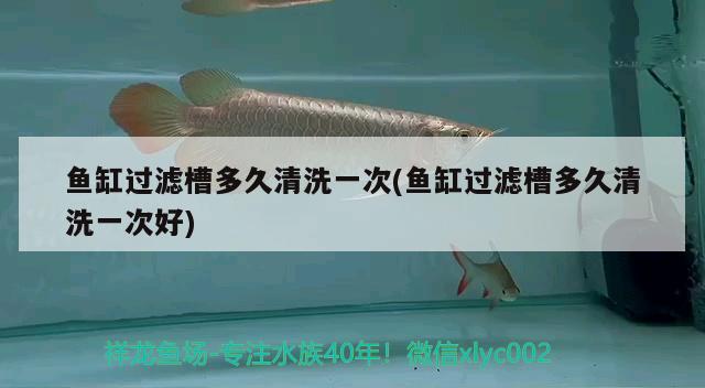 如何安裝魚(yú)缸潛水泵視頻（北汽威旺306a水泵怎么更換） 羅漢魚(yú) 第1張