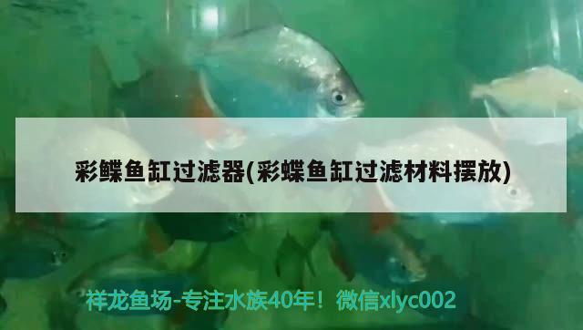 彩鰈魚缸過(guò)濾器(彩蝶魚缸過(guò)濾材料擺放)