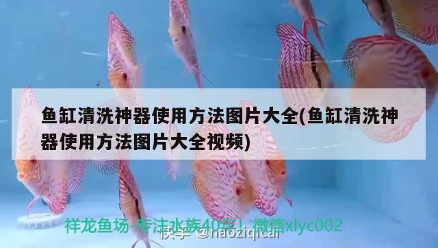 魚缸清洗神器使用方法圖片大全(魚缸清洗神器使用方法圖片大全視頻)