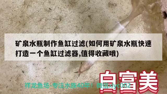 礦泉水瓶制作魚(yú)缸過(guò)濾(如何用礦泉水瓶快速打造一個(gè)魚(yú)缸過(guò)濾器,值得收藏哦) 魚(yú)缸水泵