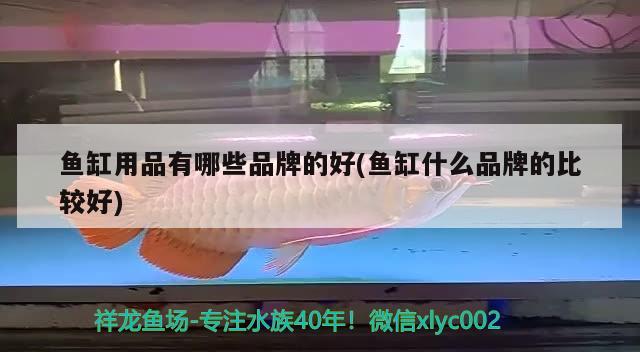 魚缸用品有哪些品牌的好(魚缸什么品牌的比較好) 沖氧泵