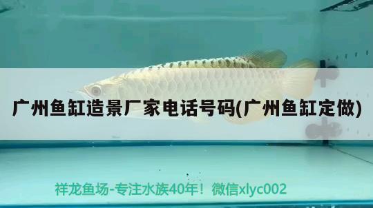 廣州魚缸造景廠家電話號碼(廣州魚缸定做) 鐵甲武士