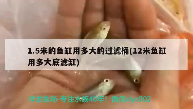 1.5米的魚缸用多大的過濾桶(12米魚缸用多大底濾缸) 水族世界