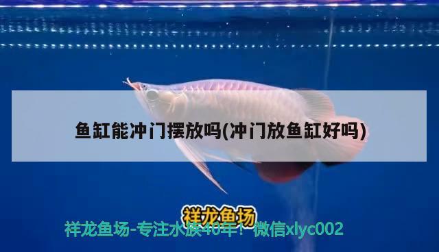 魚缸能沖門擺放嗎(沖門放魚缸好嗎)