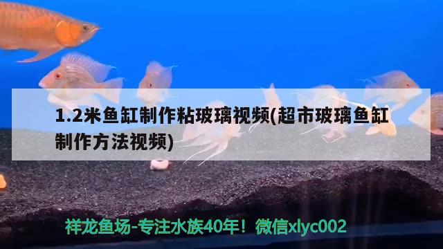 1.2米魚缸制作粘玻璃視頻(超市玻璃魚缸制作方法視頻) 藍帆三間魚