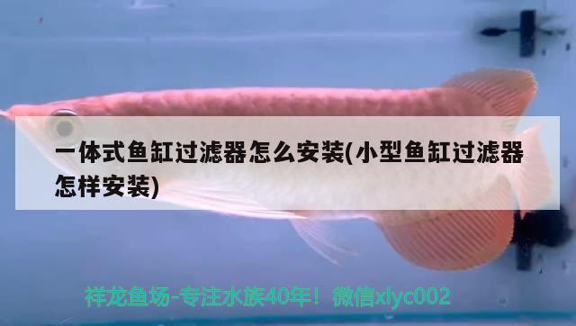 一體式魚缸過濾器怎么安裝(小型魚缸過濾器怎樣安裝) 丹頂錦鯉魚