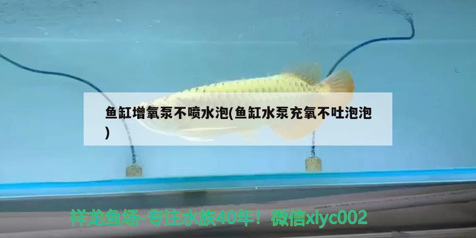 魚缸增氧泵不噴水泡(魚缸水泵充氧不吐泡泡)