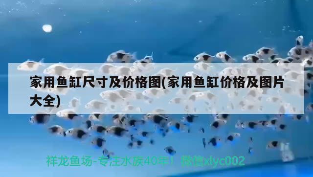 1號水族魚缸底柜（1號水族魚缸使用說明） 祥龍水族醫(yī)院 第3張