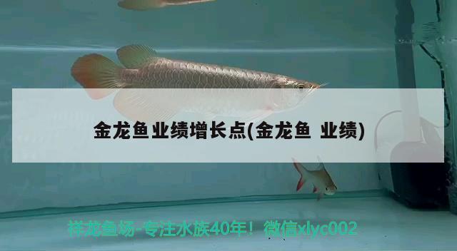 金龍魚業(yè)績(jī)?cè)鲩L(zhǎng)點(diǎn)(金龍魚業(yè)績(jī))