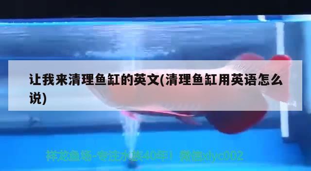 讓我來清理魚缸的英文(清理魚缸用英語怎么說) 水草