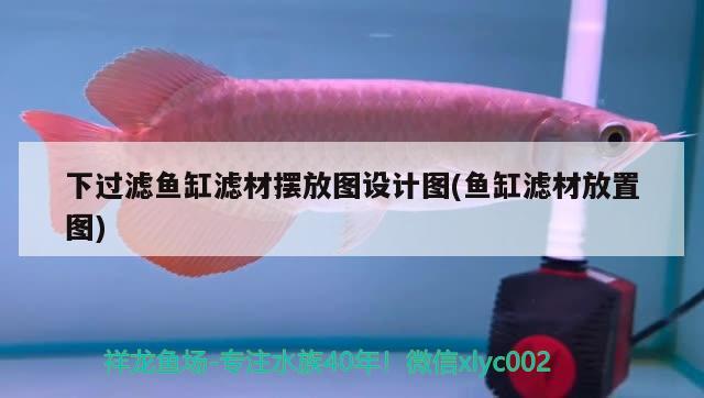 下過(guò)濾魚缸濾材擺放圖設(shè)計(jì)圖(魚缸濾材放置圖) 暹羅巨鯉