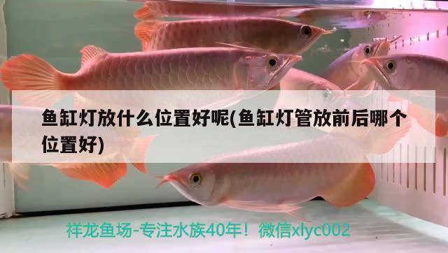 魚缸燈放什么位置好呢(魚缸燈管放前后哪個位置好)