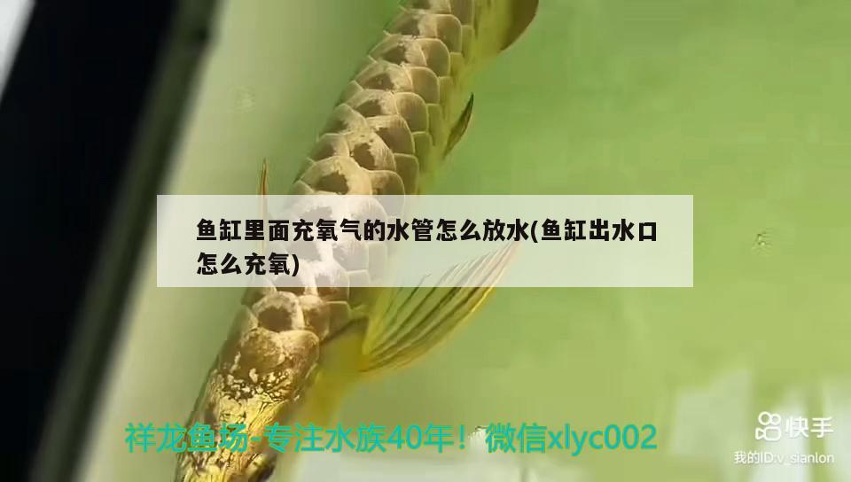 魚缸里面充氧氣的水管怎么放水(魚缸出水口怎么充氧)