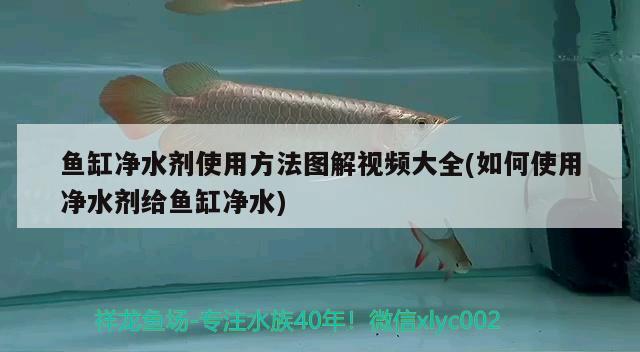 寶飛龍魚(yú)竿怎么樣，，寶飛龍魚(yú)竿怎么樣 垂釣樂(lè)園 第1張